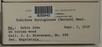 Image Associated With the Occurence